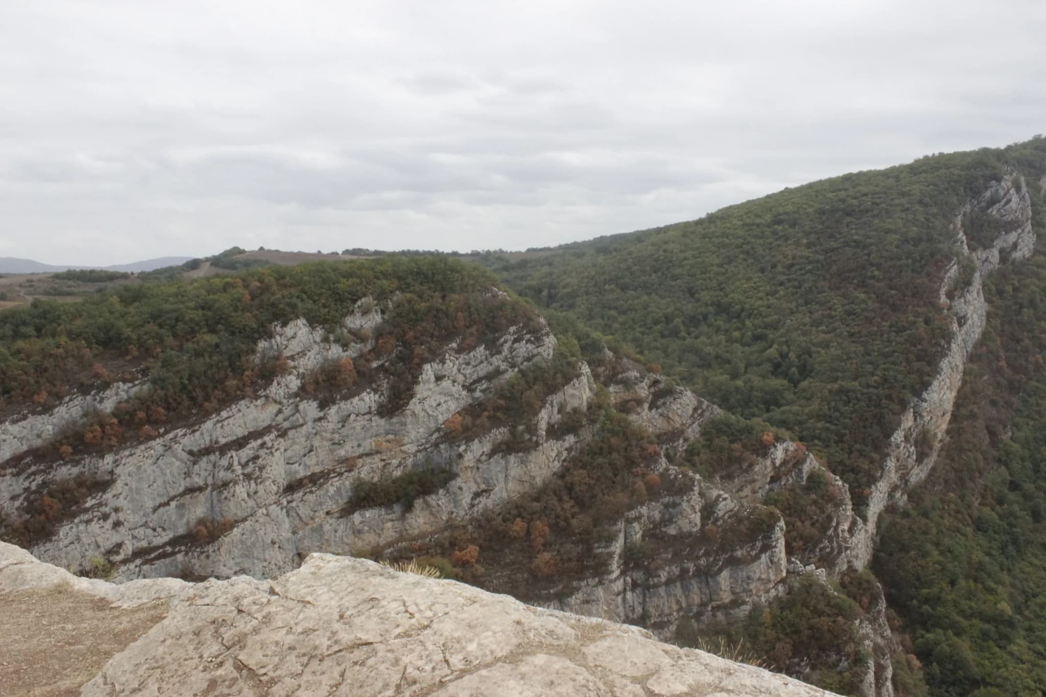 Karabakh mountain forest landscape